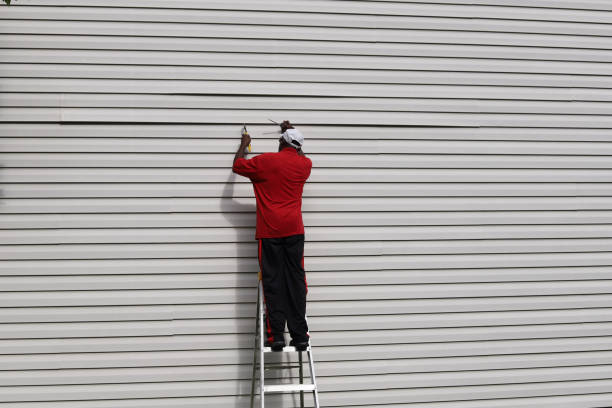 Best Siding Maintenance  in Wenona, IL